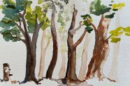 Aquarell Mischwald