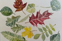 Aquarell Laubblätter verschiedener Baumarten