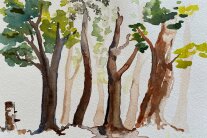 Aquarell Mischwald